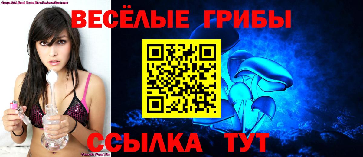 Майский  Псилоцибиновые грибы Magic Shrooms  Вход с VPN  Псилоцибиновые грибы Psilocybe 